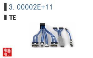 3.00002E+11