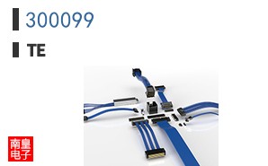 300099