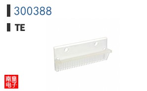 300388