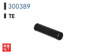 300389