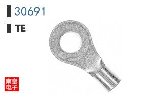 30691
