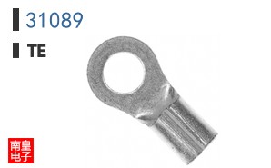 31089