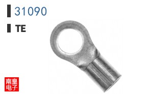 31090