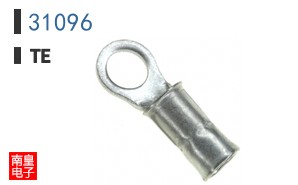 31096
