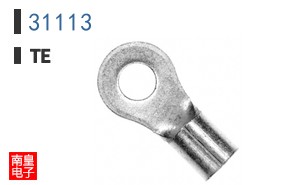 31113