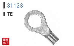 31123