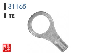 31165