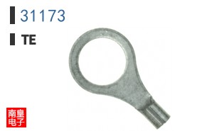 31173