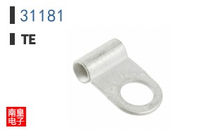 31181