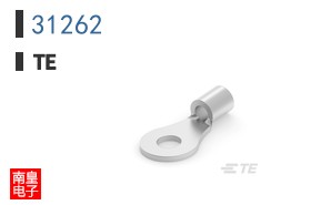 31262