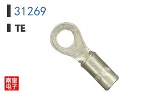 31269