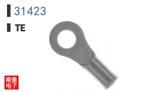 31423