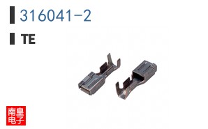 316041-2