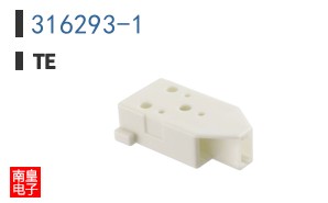 316293-1