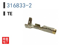 316833-2