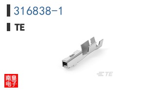316838-1