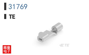 31769