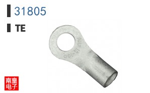 31805