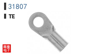 31807