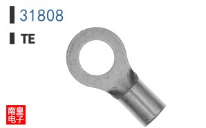 31808