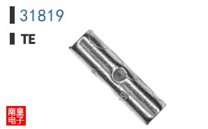 31819