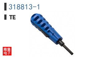 318813-1