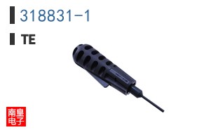 318831-1