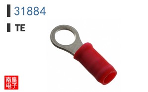 31884