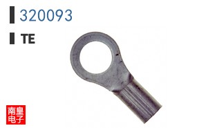 320093