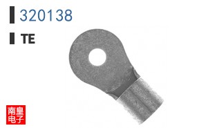 320138