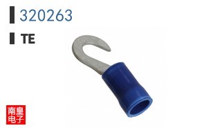 320263