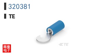 320381