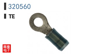 320560
