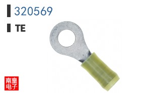 320569