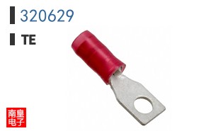 320629