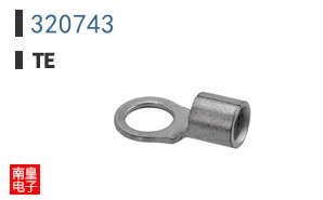 320743