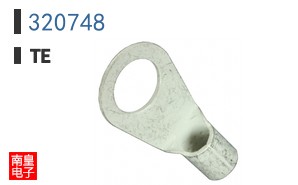 320748