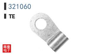 321060