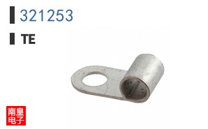 321253