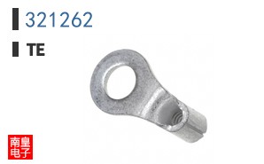 321262