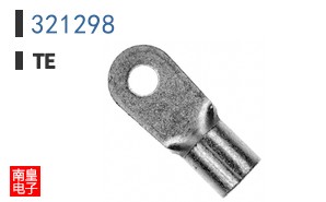 321298