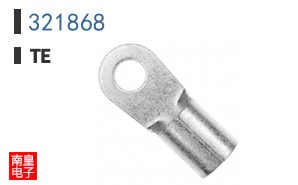 321868