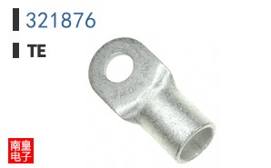 321876