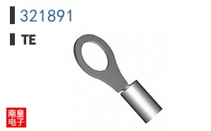 321891