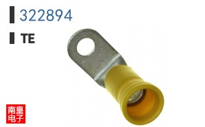 322894
