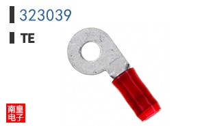 323039