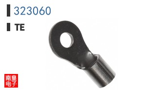 323060