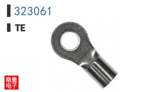 323061