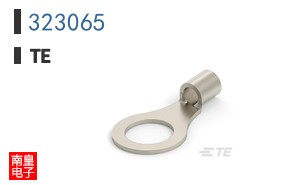 323065
