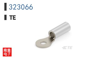 323066